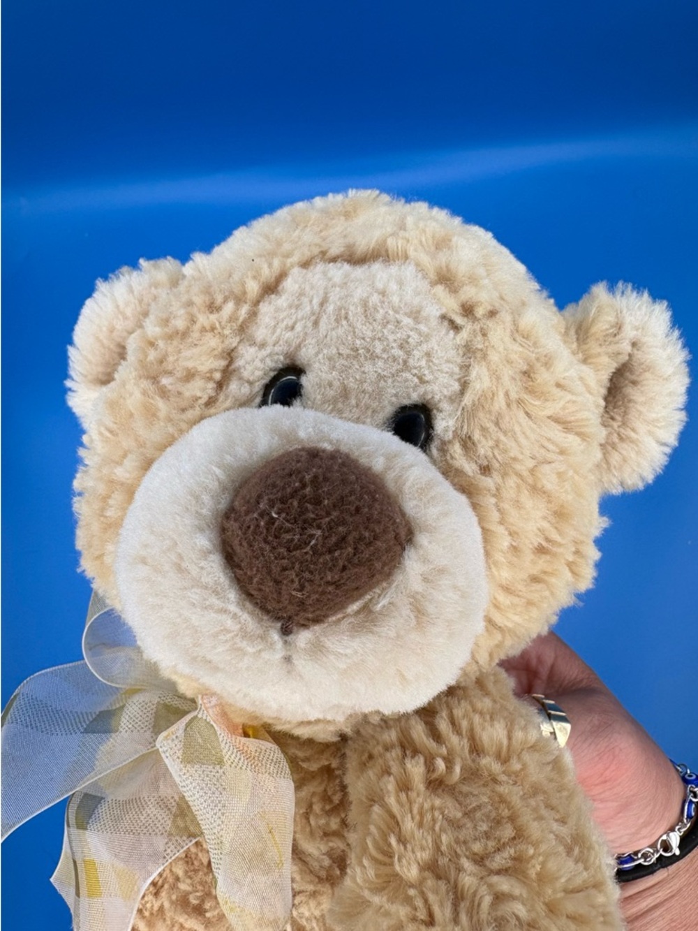 Vintage GUND Manni Teddy Bear